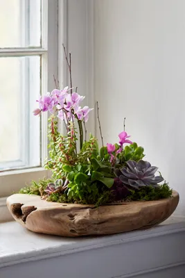 Teak Root Round Bowl Planter 18" - Natural, Teak product
