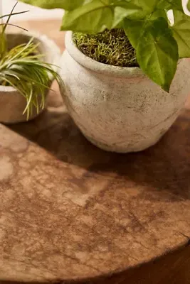 Teak Root Side Table product