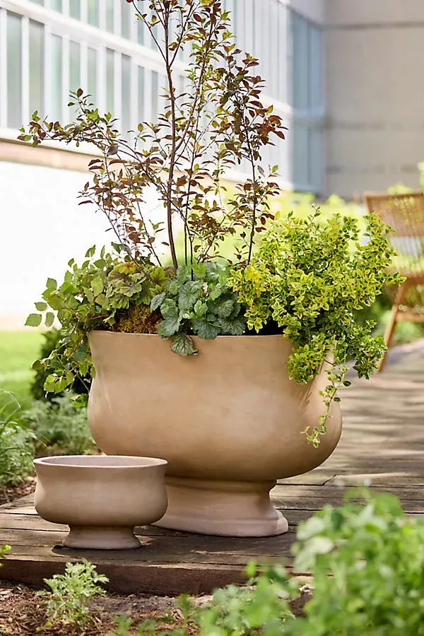 Torino Oval Planter - Concrete by Anthropologie
