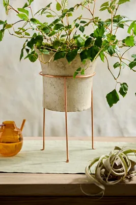 Tripod Plant Stand - Copper product