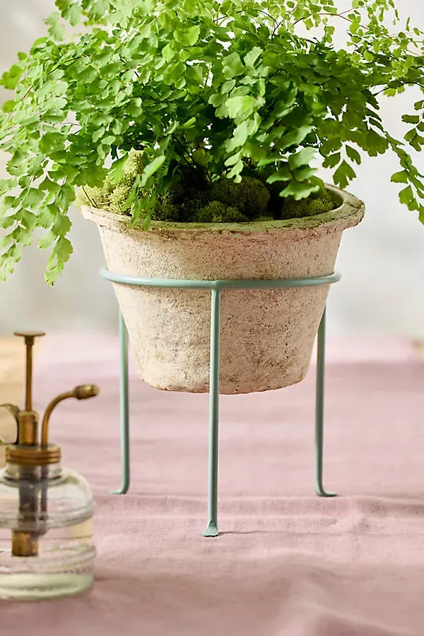 Tripod Plant Stand - Mint, Iron product