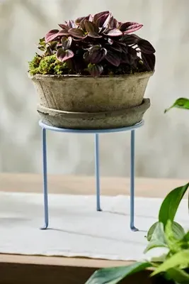 Tripod Plant Stand - Sky Blue, Iron product