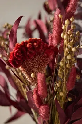 Vermilion Ember Dried Bouquet - Red by Anthropologie, image 2
