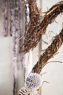 Vine Ghost Wreath Frame - Brown, Natural Vine by Anthropologie, alternate view