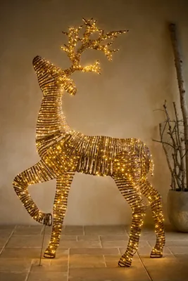 Vine Prancing Reindeer - Rattan, LED by Anthropologie, alternate view