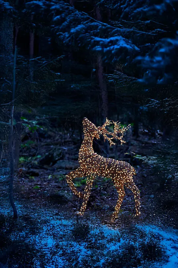 Vine Prancing Reindeer - Rattan, LED by Anthropologie