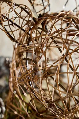 Vine Stag Bust LED Illuminated - Rattan by Anthropologie, alternate view