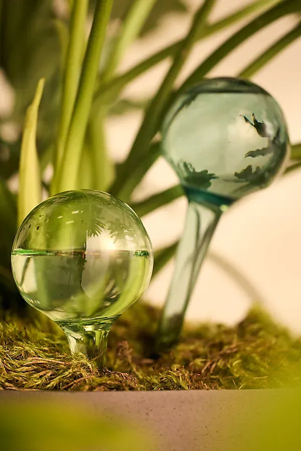 Watering Globes Set of 2 product
