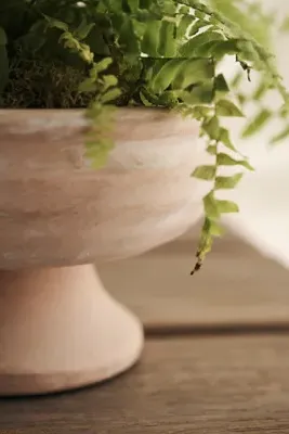 Wide Bowl Urn Planter - Brown, Ceramic product