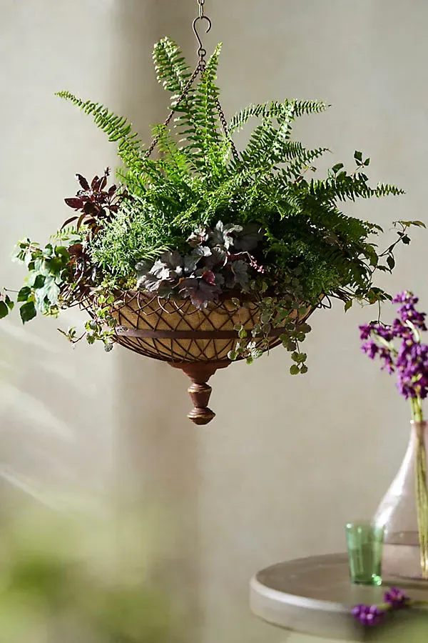 Wide Bowl Wire Hanging Planter by Anthropologie