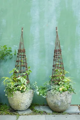 Willow Garden Obelisk - Natural Willow by Anthropologie, image 2
