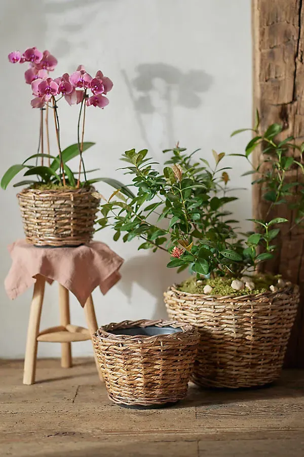 Woven Abaca Tapered Basket Planter - Beige product