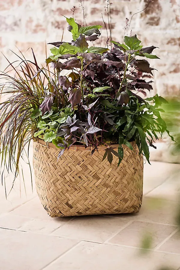 Woven Bamboo Fiber Square Base Planter Low - Beige product