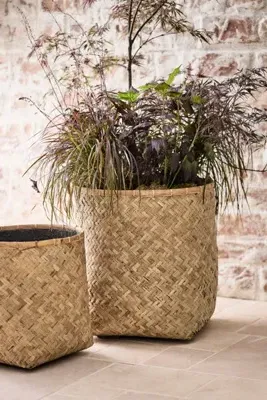Woven Bamboo Square Base Planter - Beige, Bamboo by Anthropologie, image 2