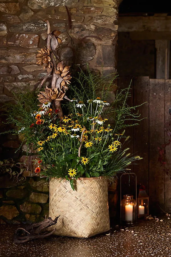 Woven Bamboo Square Base Planter - Beige, Bamboo by Anthropologie