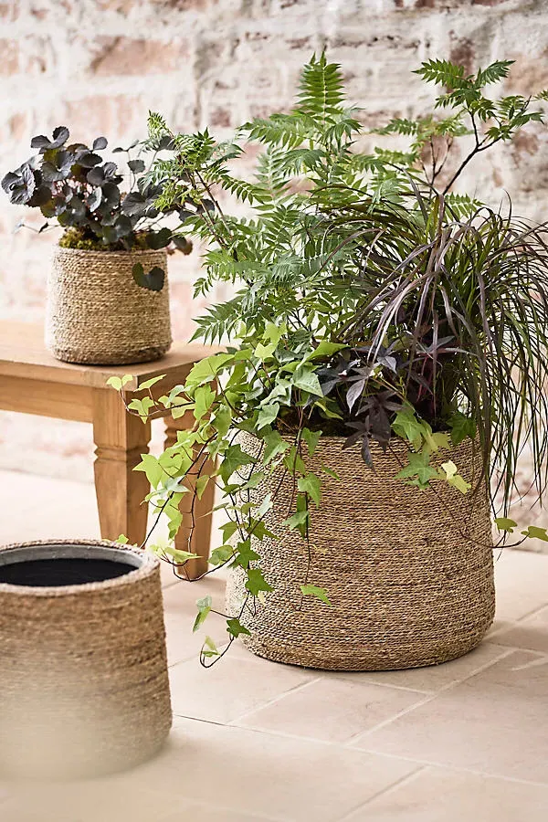 Woven Seagrass Taper Pot - Beige, Seagrass product