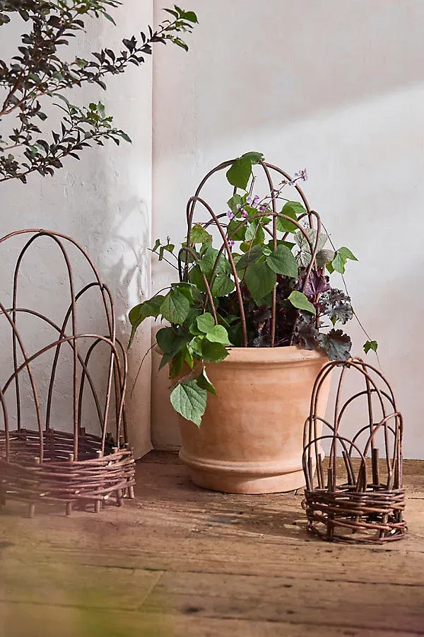 Woven Willow Cloche - Beige, Willow by Anthropologie