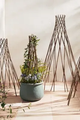 Woven Willow Cone Obelisk 35" - Natural Willow by Anthropologie, alternate view