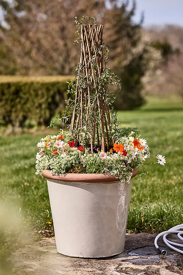 Woven Willow Cone Obelisk 35" - Natural Willow by Anthropologie