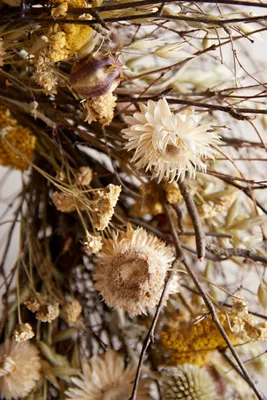Wyeth Spring Wreath - Yellow, Dried Botanicals product