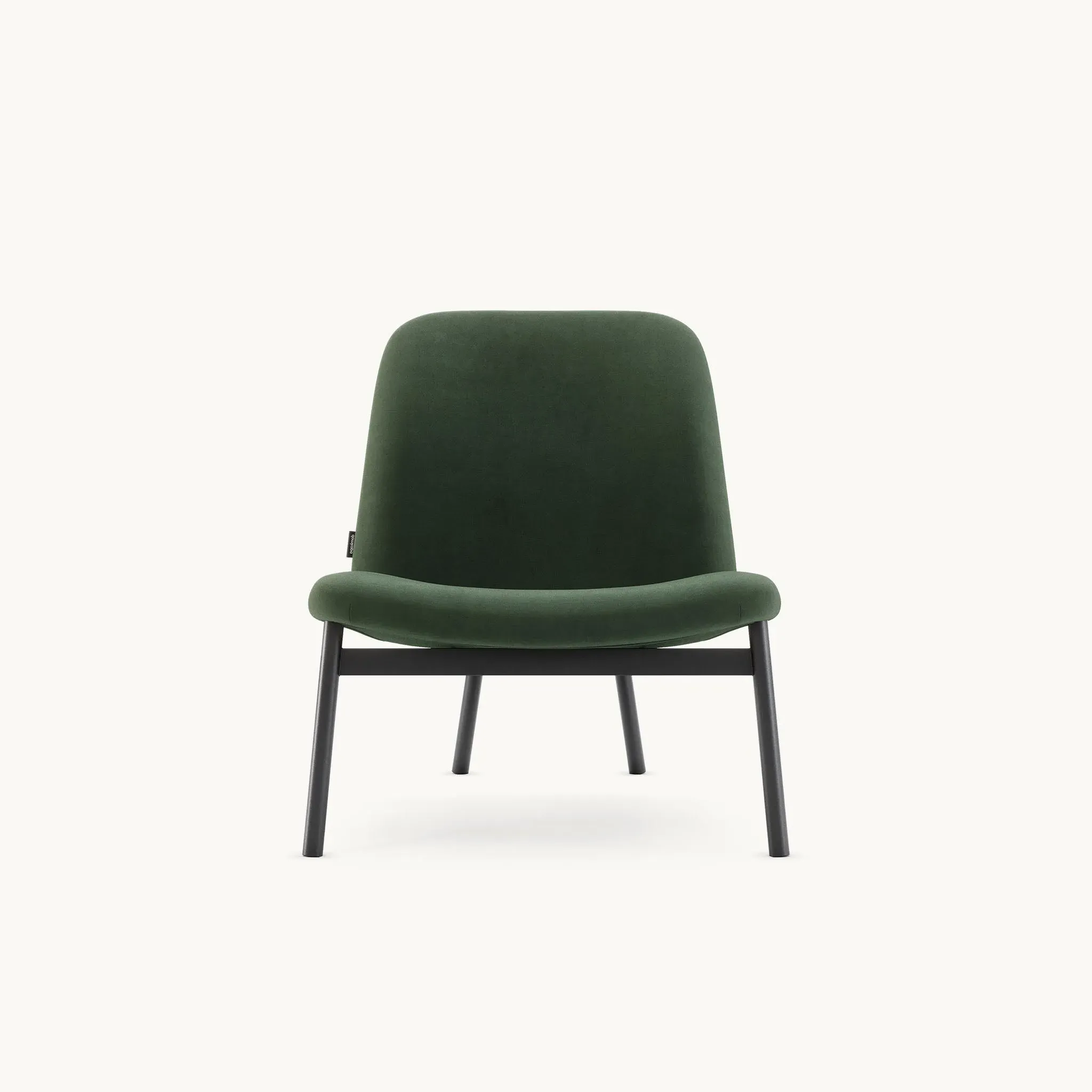 Armchair with Curved Back - Ash image
