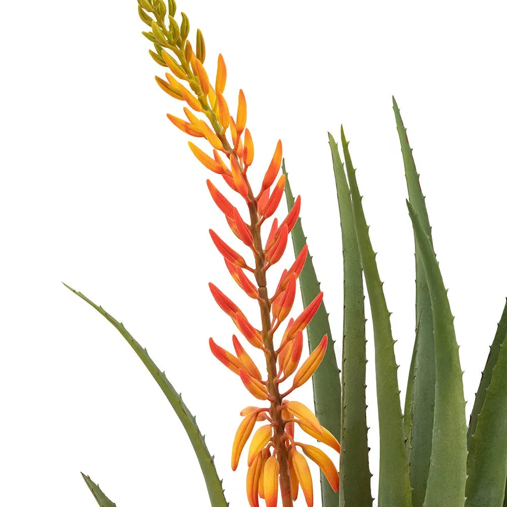 Aloe Potted Plant with Orange Flower alternate view