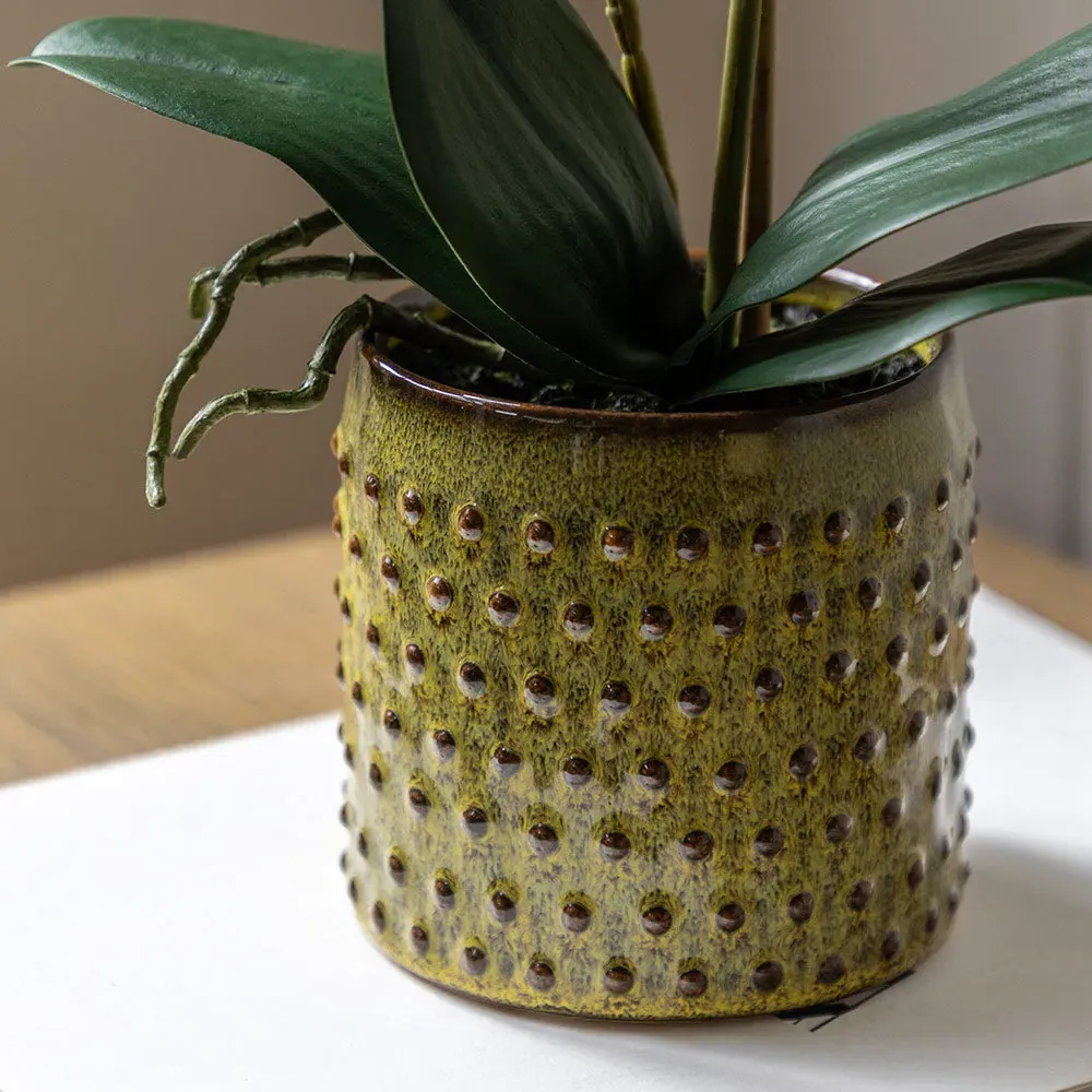 Artificial Orchid in Moss Ceramic Dot Pot - Multicolour alternate view