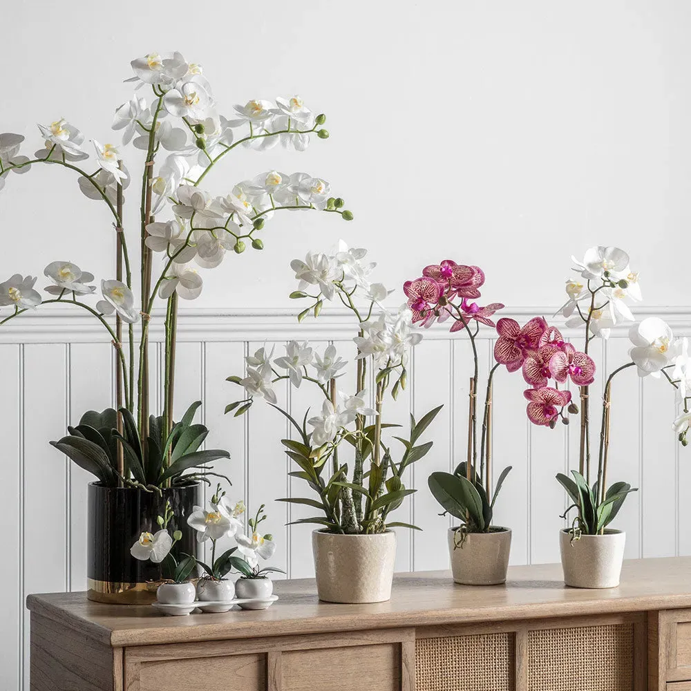 Artificial Orchid with Ceramic Pot - Pink alternate view