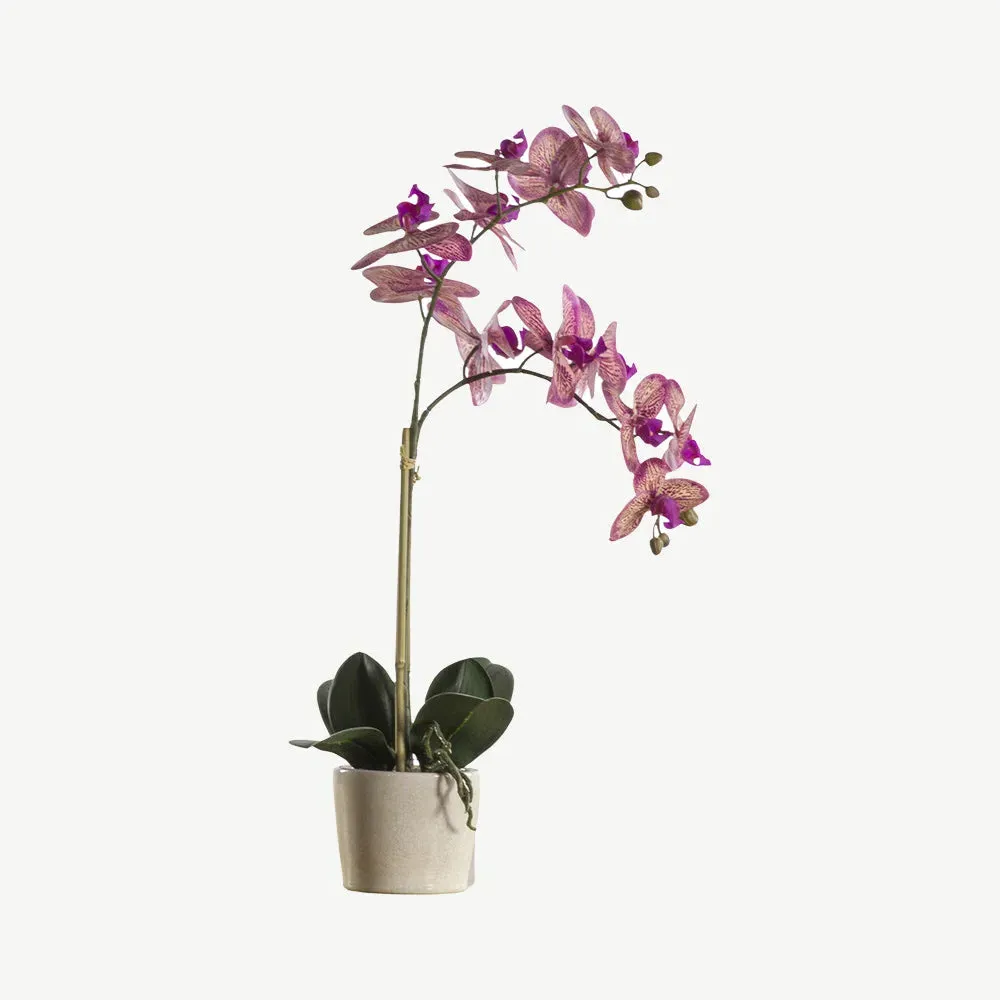 Artificial Orchid with Ceramic Pot - Pink product