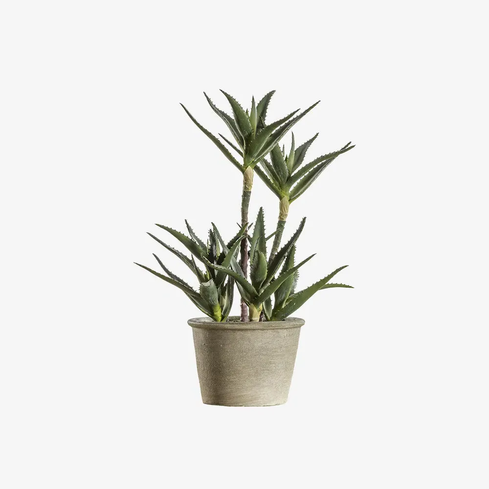 Artificial Potted Aloe Plant product