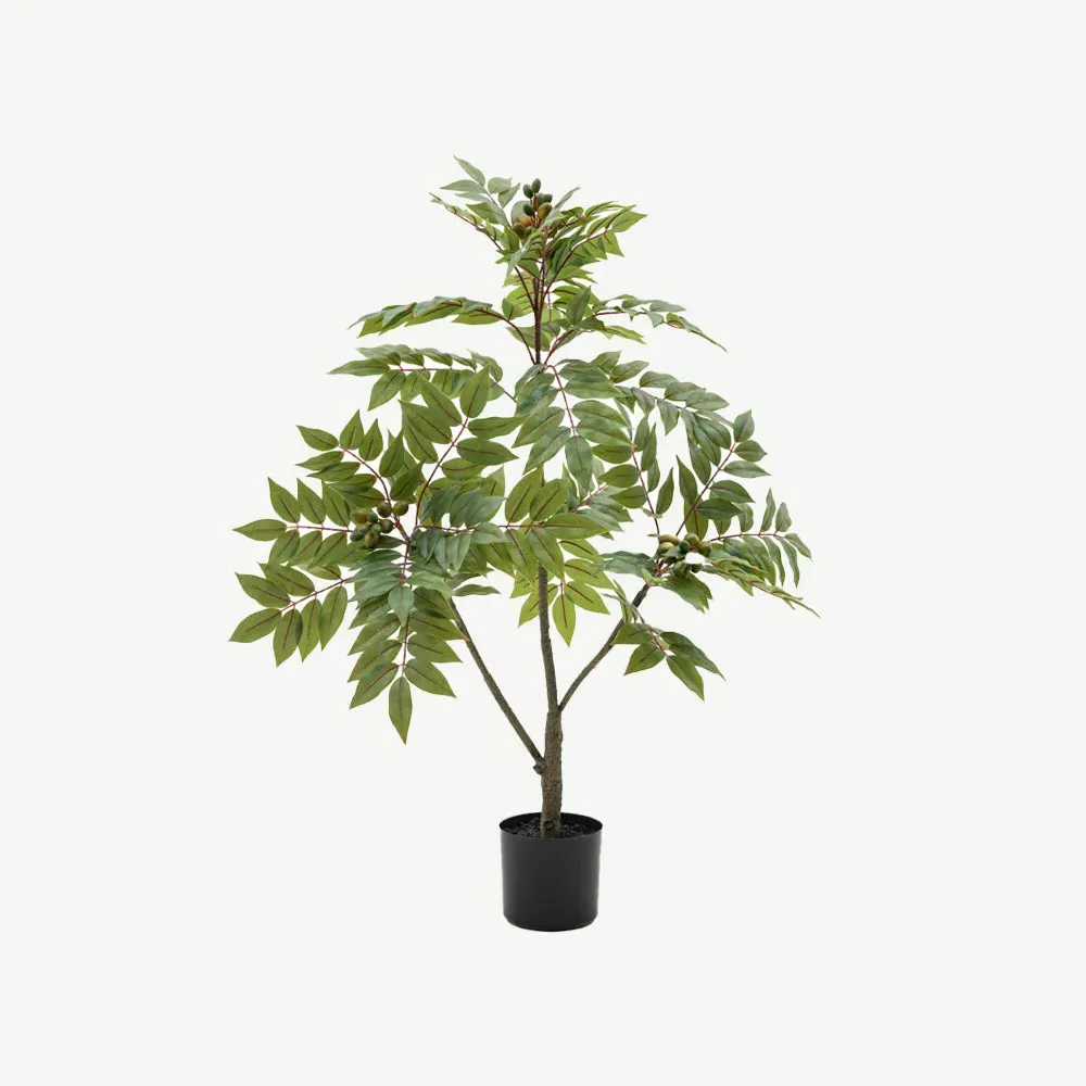 Artificial Potted Chinese White Olive Tree - Small alternate view