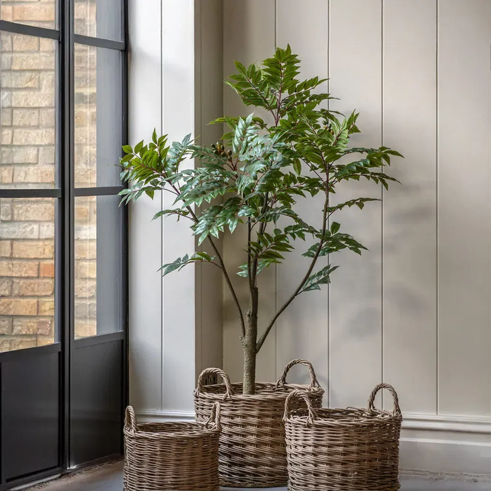 Artificial Potted Chinese White Olive Tree - Small product