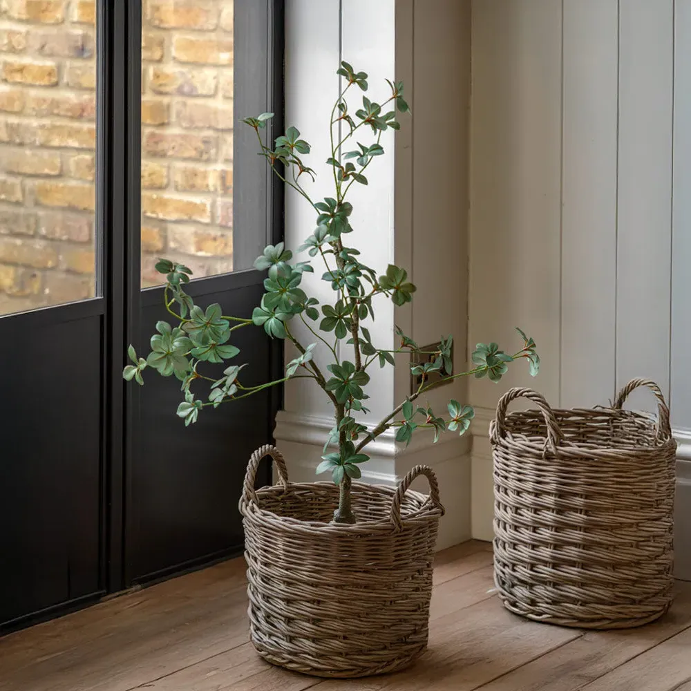 Artificial Potted Rhodoleia Tree product