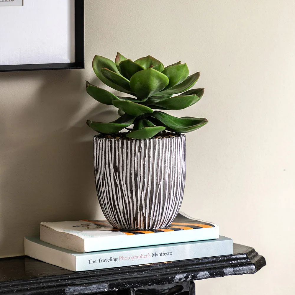 Artificial Potted Succulent in Ribbed Black Ceramic Pot product