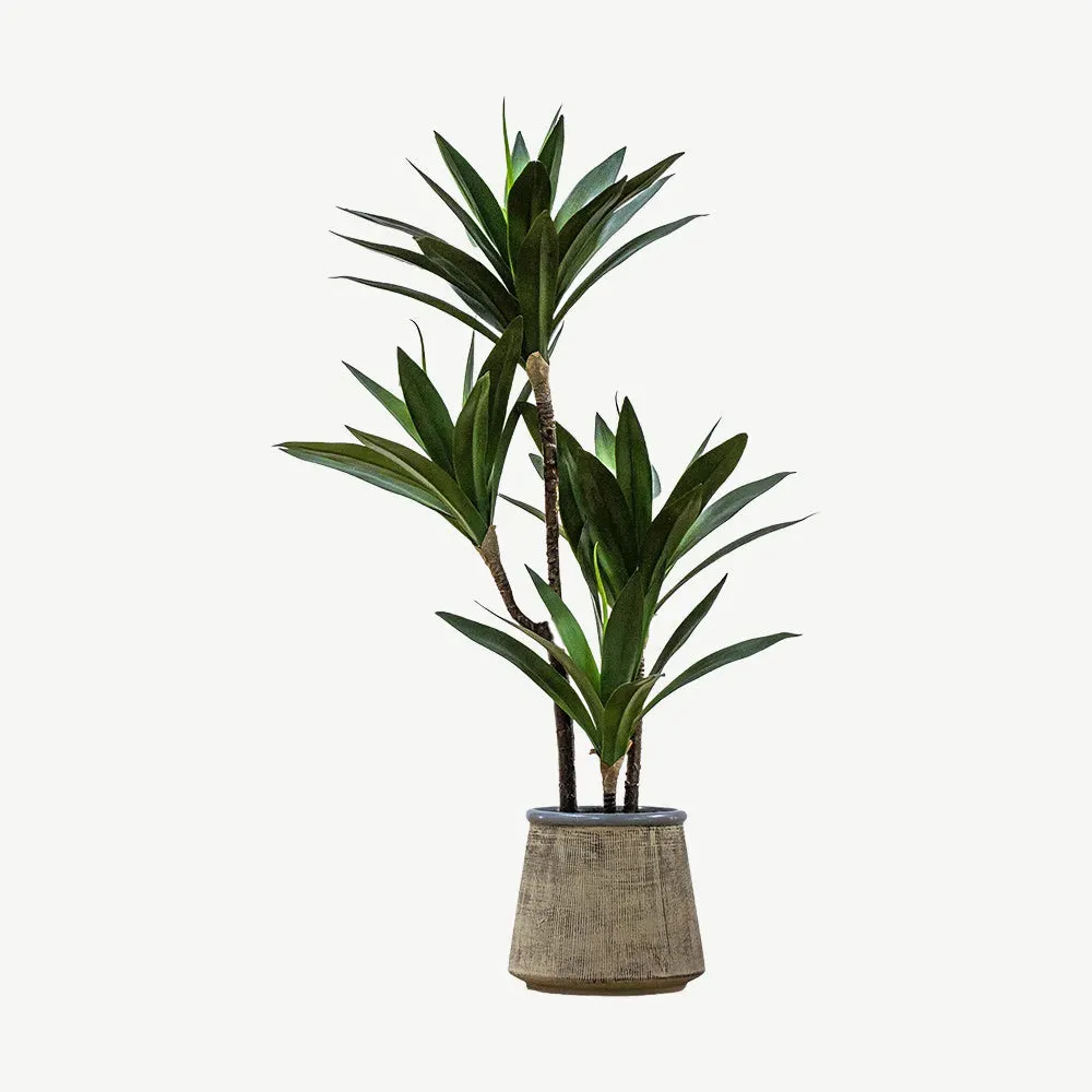 Artificial Potted Yucca - Green, Ceramic product