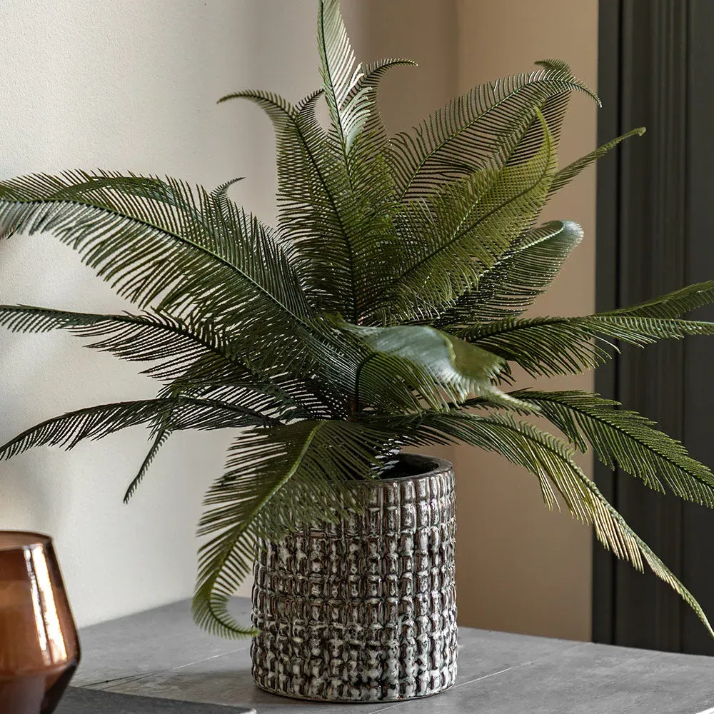 Artificial Wide Fern in Concrete Pot product