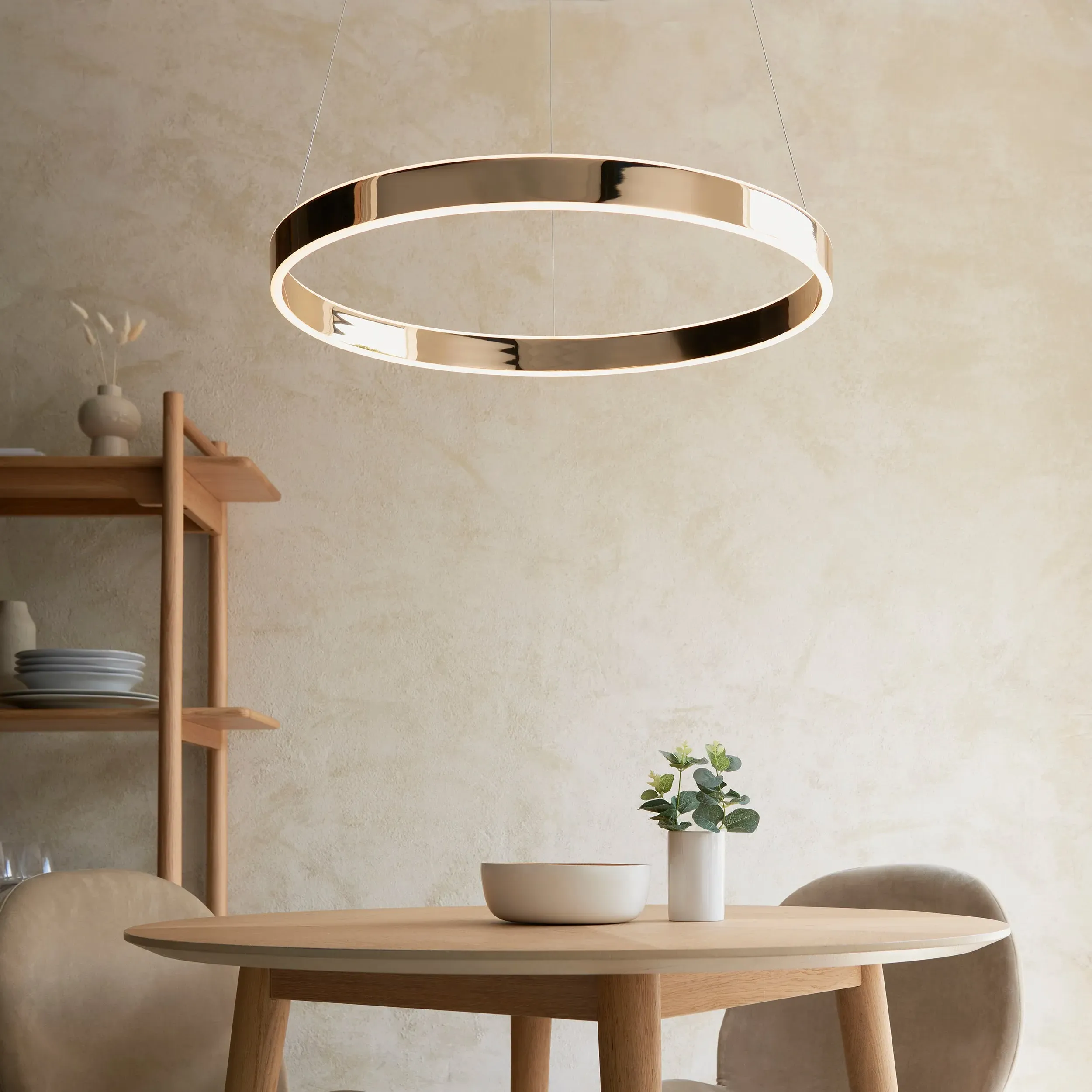 Bjorn Ring Pendant Light - French Gold alternate view