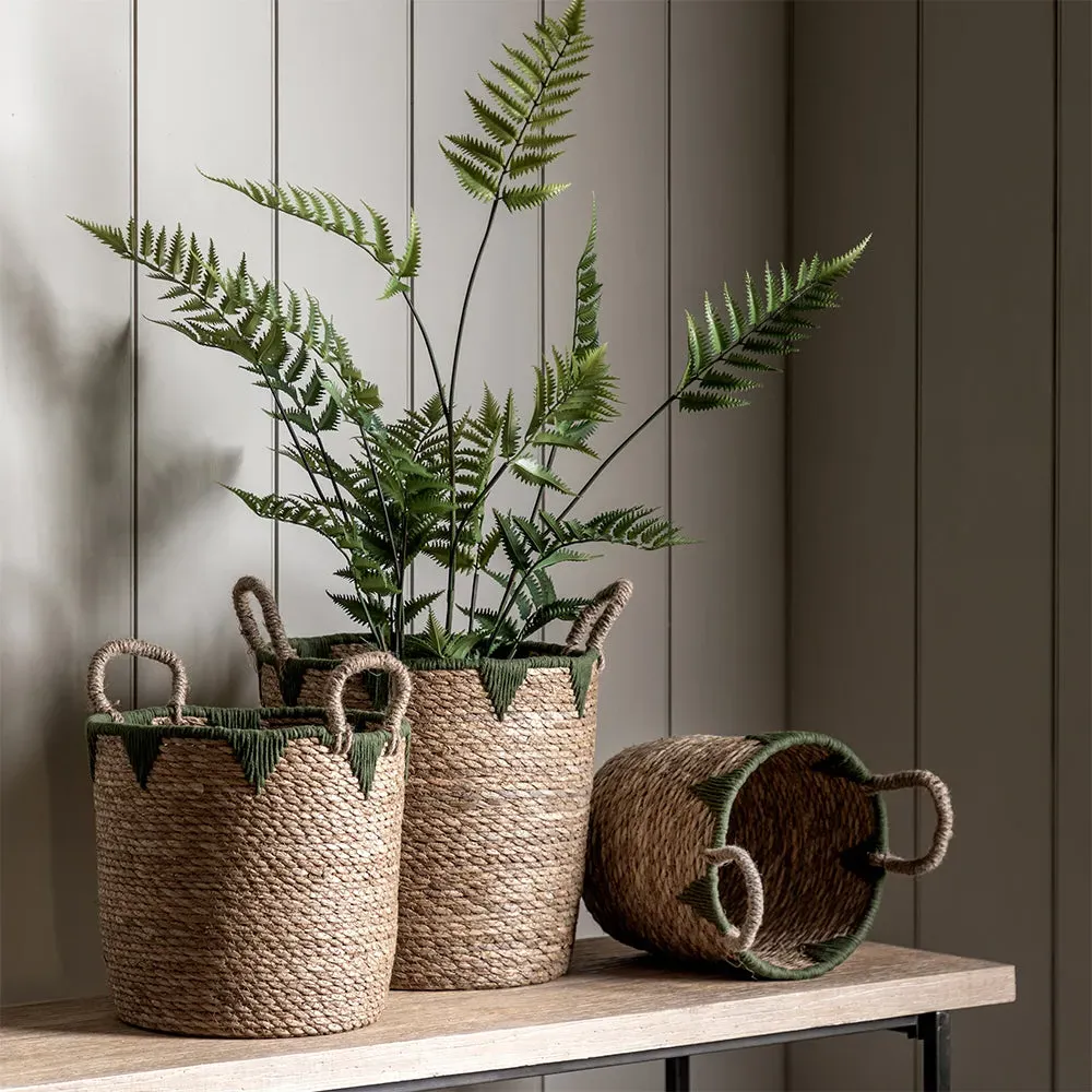 Elgon Set of 3 Baskets - Seagrass, Cotton Rope product