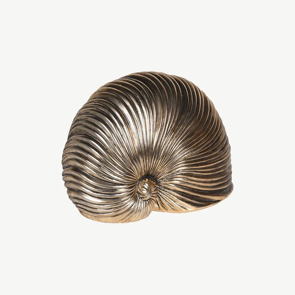 Gold Sea Snail Decoration product