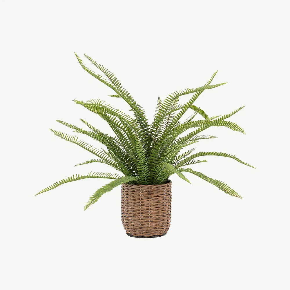 Large Potted Fern Artificial Plant - Green, Woven Pot product