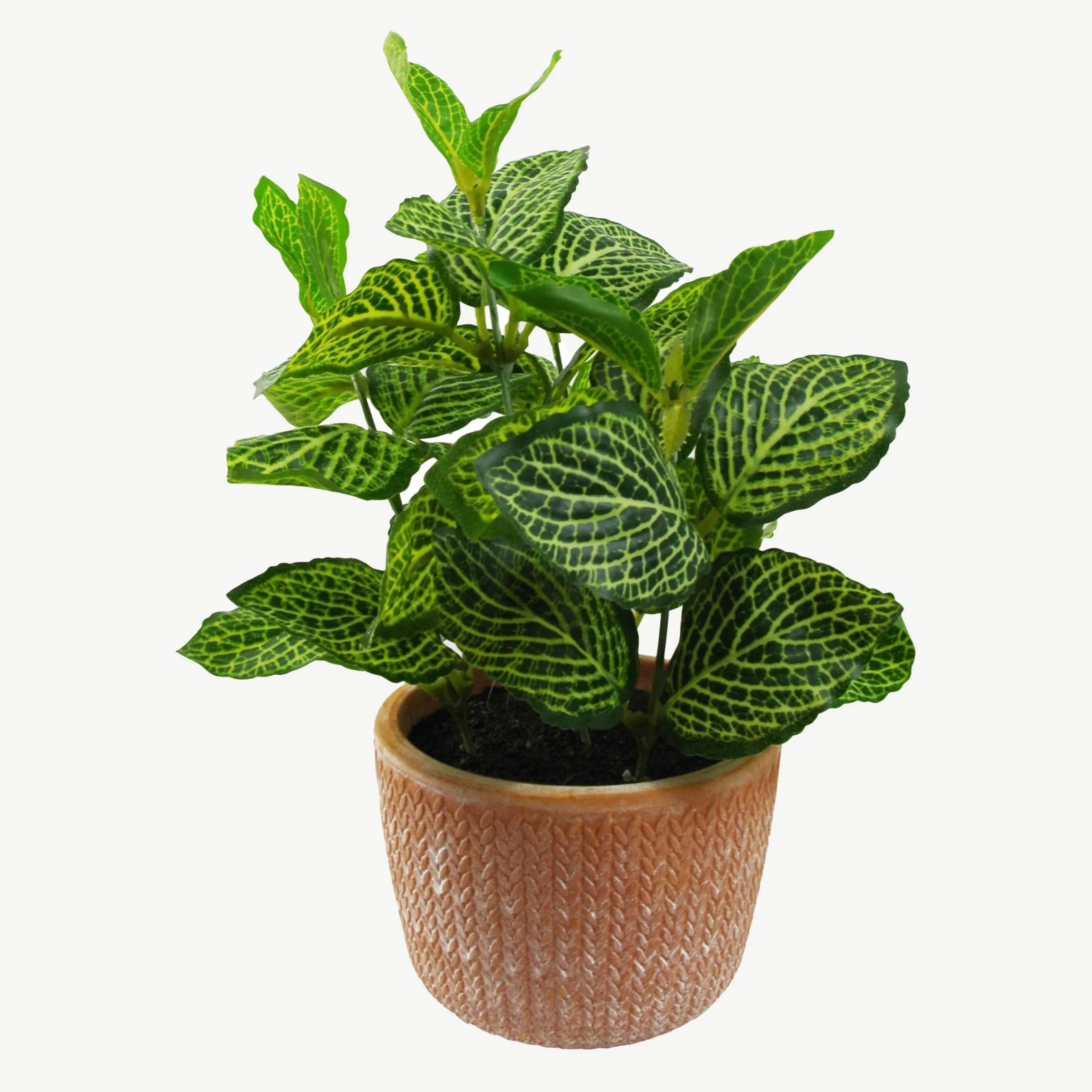 Mini Artificial Pothos in Terracotta Pot product