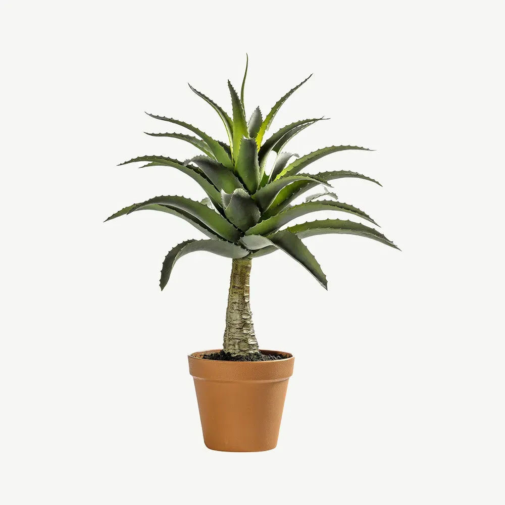 Potted Agave Faux Plant - Green product