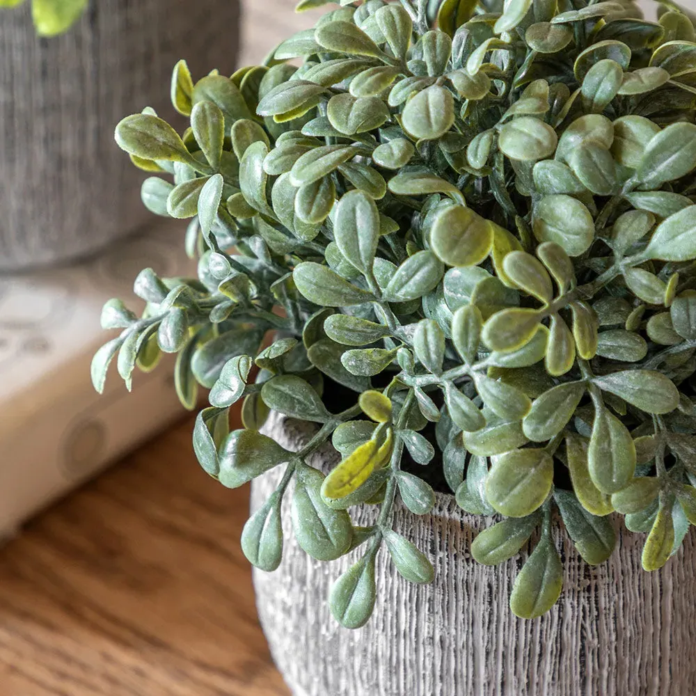 Set of 2 Potted Faux Herb Plants - Sage, Ceramic alternate view