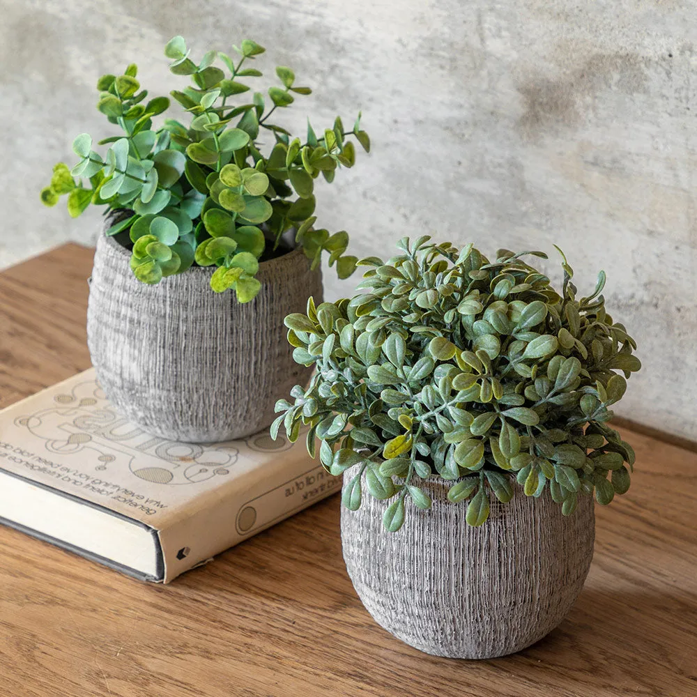 Set of 2 Potted Faux Herb Plants - Sage, Ceramic product