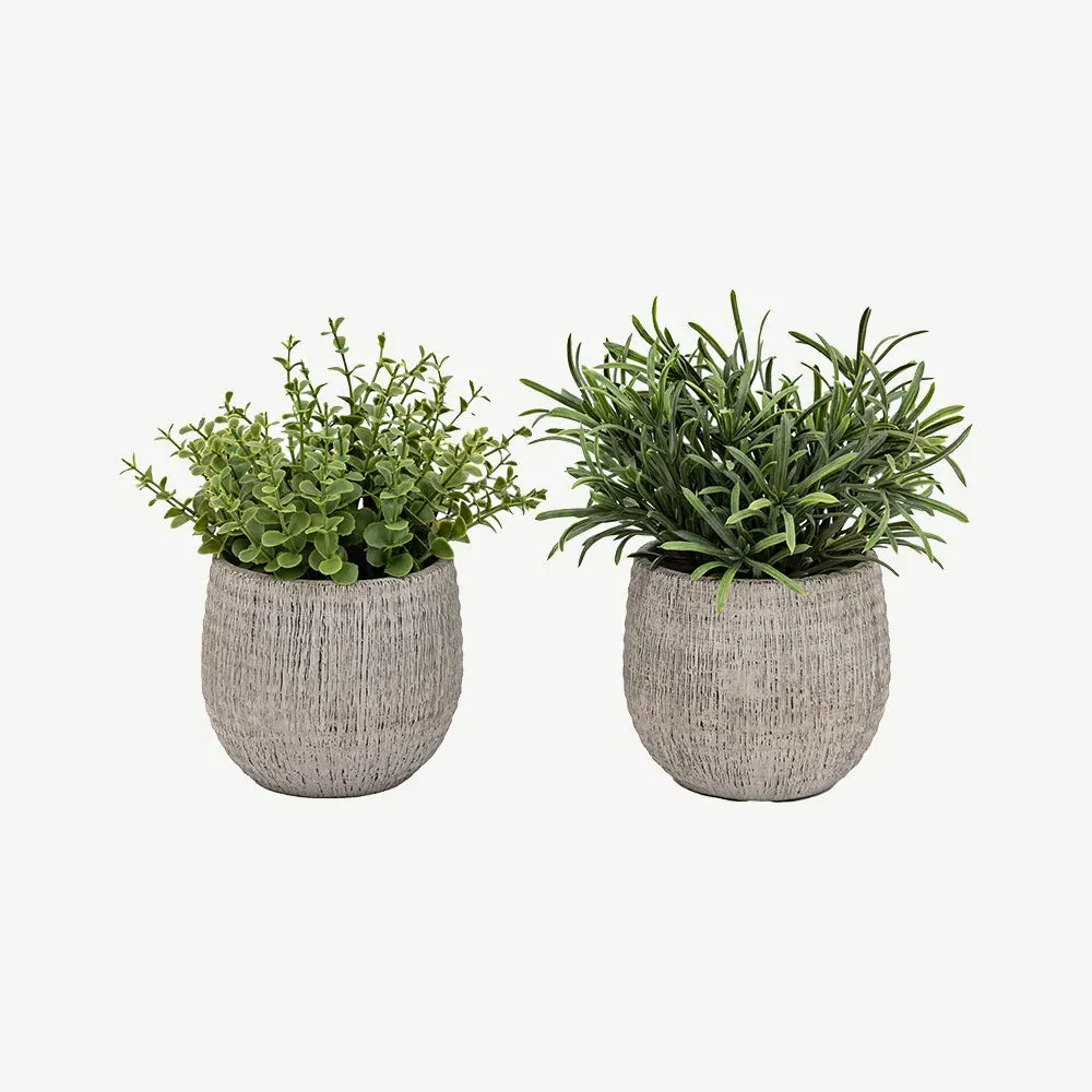Set of 2 Potted Faux Rosemary Plants - Dark Ceramic alternate view
