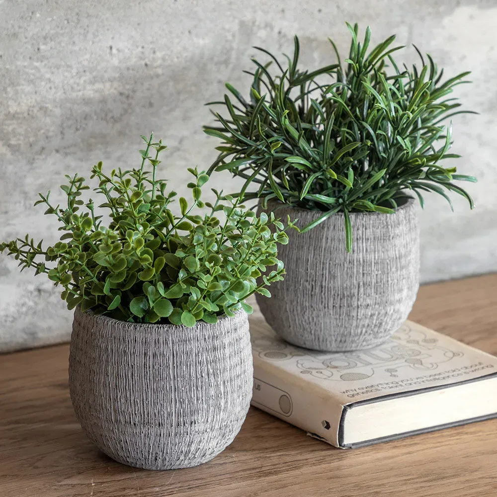Set of 2 Potted Faux Rosemary Plants - Dark Ceramic product