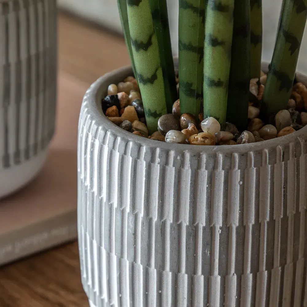 Set of 2 Succulents Ceramic Pots alternate view