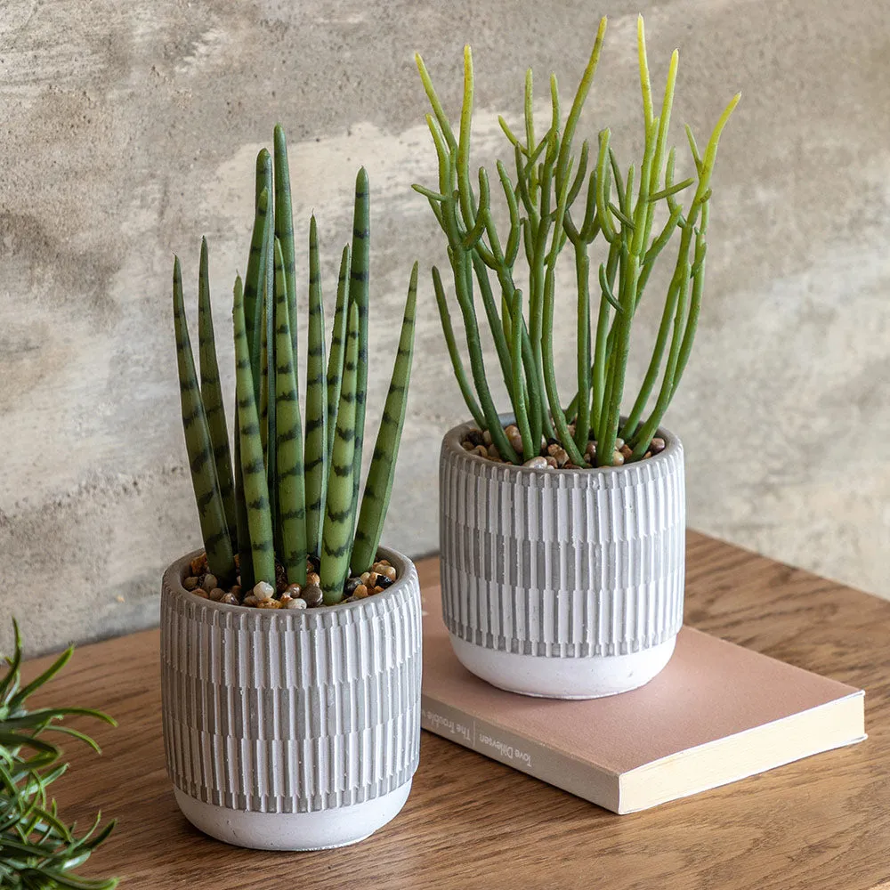 Set of 2 Succulents Ceramic Pots product