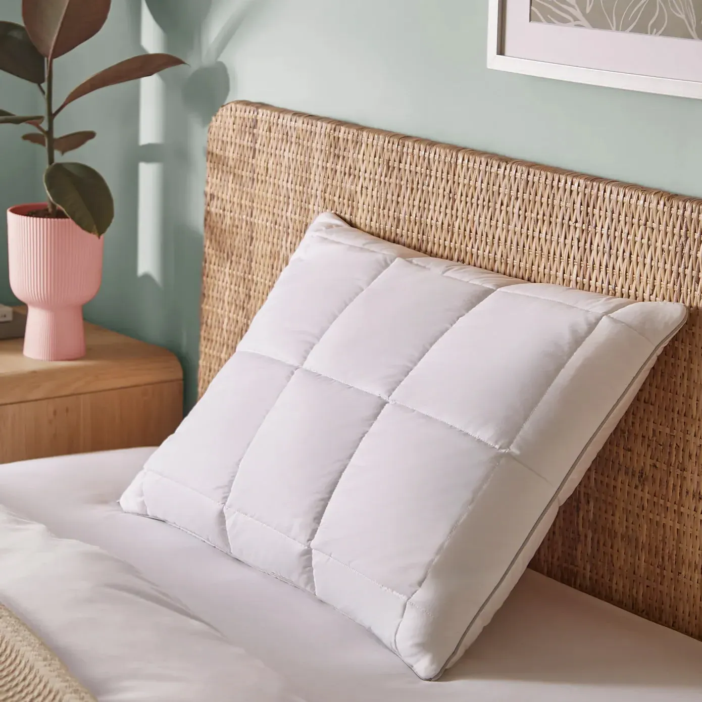 Specialist Talalay Latex Pillow - Medium-Firm product