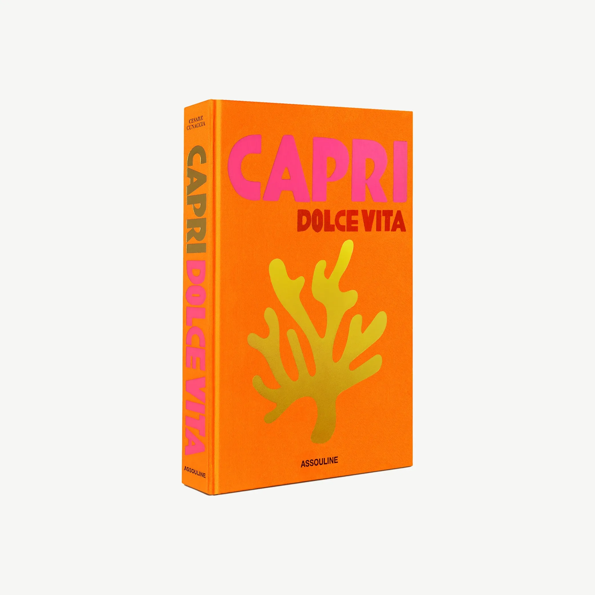 Capri Dolce Vita Book product